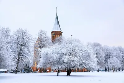 Светлогорск зимой фото фотографии