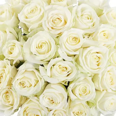 Белые розы в сердце-шкатулке | доставка по Москве и области