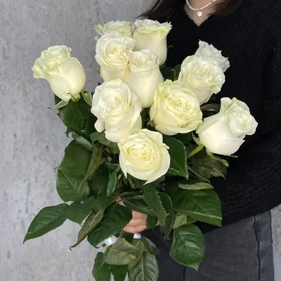 Заказать свежие белые розы FL-2554 купить - хорошая цена на свежие белые  розы с доставкой - FLORAN.com.ua