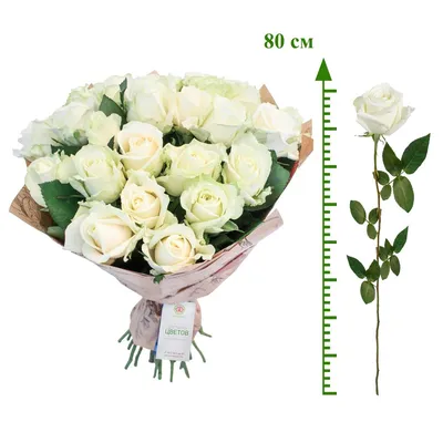Красные и белые розы от 11 шт (премиум) доставка в Уфе | «МосРозаОпт»