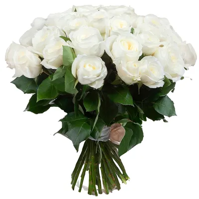 Белые розы | GiftGarden - Купить цветы, подарки и многое другое - товары  высшего качества