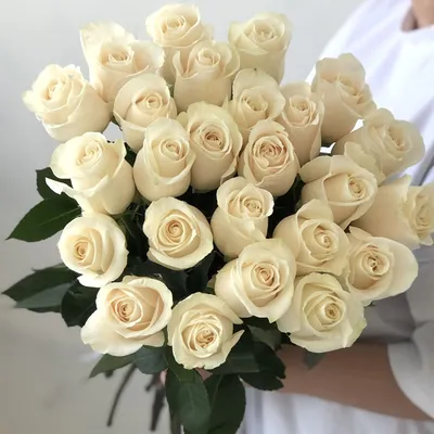 Белые розы Эквадорские доставка в Красноярске | ФлоРум24