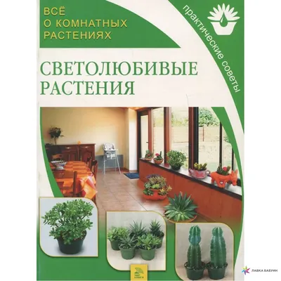 Все о комнатных растениях. Светолюбивые растения, , Мир книги купить книгу  978-5-486-01644-8 – Лавка Бабуин, Киев, Украина