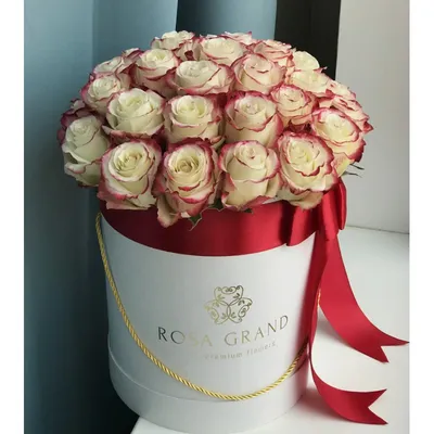 Розы Свитнес (Sweetness) в коробке (S) 31-35 роз - купить в  интернет-магазине Rosa Grand