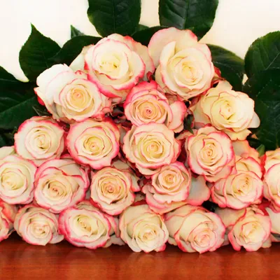 Роза Sweetness 51 шт. - купить цветы с доставкой по Москве