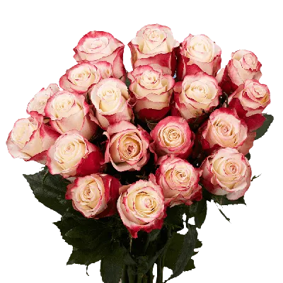 Buy exquisite bouquet «Sweetness premium roses by the piece»