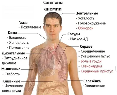 Демодекоз волосистой части головы — причины, симптомы, анализы, лечение