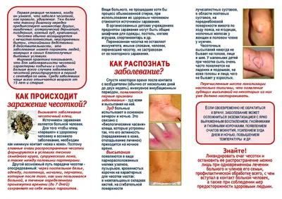 COVID по коже: симптомами коронавируса могут быть семь видов сыпи | Статьи  | Известия