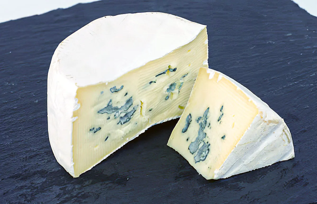 Сыры с плесенью производство. Сыр Bavaria Blue. Сыр Blue Cheese. Камамбер и Рокфор. Сыр Бри Блю.