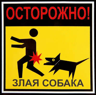 Наклейка «Осторожно злая собака» 100х100 мм полиэстер по цене 50 ₽/шт.  купить в Кирове в интернет-магазине Леруа Мерлен