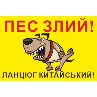 Купить Табличка Осторожно злая собака 300х200мм артикул 8785 недорого в  Украине с доставкой