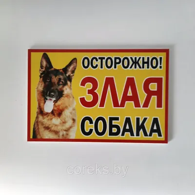 Табличка \"Осторожно злая собака\" ( 24*16 см): продажа, цена в Слониме.  Готовые информационные таблички и вывески от \"Рекламное агентство \"Корекс\"\"  - 114946176