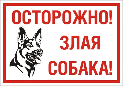 Купить табличку «Осторожно, злая собака!» за ✓ 65 руб.