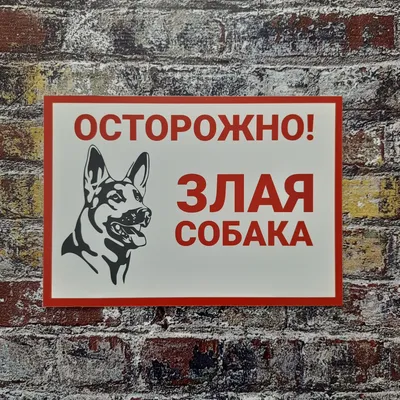 Табличка Осторожно злая собака Размер А4, 21 см, 29 см - купить в  интернет-магазине OZON по выгодной цене (373496217)