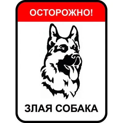 Знак «Осторожно злая собака» – купить в Алматы по цене 4530 тенге –  интернет-магазин Леруа Мерлен Казахстан