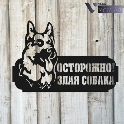 Табличка Осторожно, злая собака купить в интернет-магазине Ярмарка Мастеров  по цене 1230 ₽ – R02SMBY | Таблички для сада, Сергиев Посад - доставка по  России