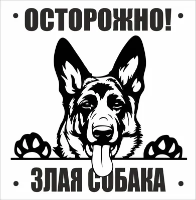 Табличка Осторожно злая собака, добрая овчарка 200200мм. купить товары для  дома с быстрой доставкой на Яндекс Маркете