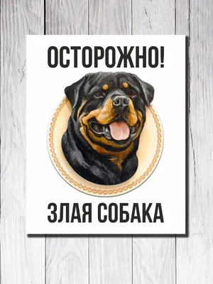 Табличка \"Осторожно Злая Собака\" ПВХ | Laser-foto.ru