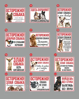 Табличка, осторожно злая собака, прикол, на дверь, на забор, 18 см, 25 см -  купить в интернет-магазине OZON по выгодной цене (826897783)