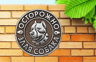 Табличка \"Осторожно Злая Собака купить в Москве цена 300 Р на DIRECTLOT.RU  - Предметы благоустройства продам