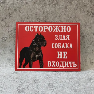 Купить Табличка \"Осторожно злая собака\" по привлекательной цене с быстрой  доставкой по России