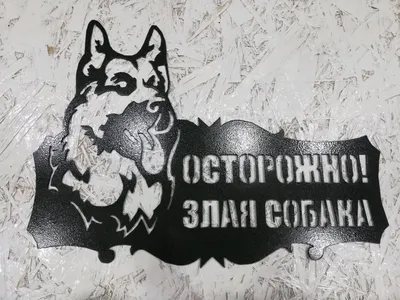 Табличка информационная Прикольная Осторожно!!! Злая собака 20х10 см, 10  см, 20 см - купить в интернет-магазине OZON по выгодной цене (913467524)