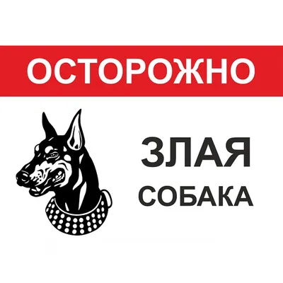Табличка \"Осторожно злая собака\" в интернет-магазине Ярмарка Мастеров по  цене 1350 ₽ – GZ4AHBY | Аксессуары для питомцев, Оренбург - доставка по  России
