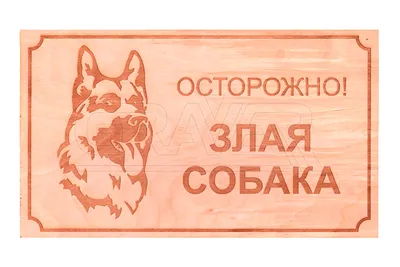 Табличка Осторожно злая собака! Кот тоже не внушает доверия 14х20 см (код  90716.1) | Компания FoxPrint