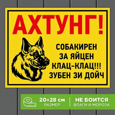 Табличка Осторожно! Злая собака! 30х20 см (код 90720) | Компания FoxPrint