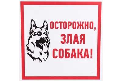 Табличка \"Осторожно! Злая собака!\" купить в интернет-магазине Ярмарка  Мастеров по цене 550 ₽ – OJJV2BY | Таблички, Москва - доставка по России