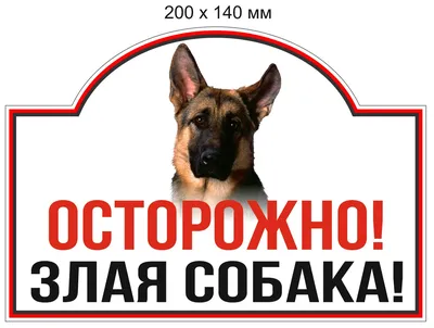 ᐉ Табличка металлическая Во Дворе Злая Собака! Осторожно! 15x30 см