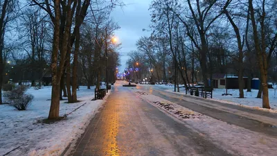 Потепление и дожди спешат в Таганрог на новой неделе