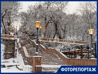 Анонс мероприятий таганрогского парка КиО имени Горького на новогодние  праздники | Новости Таганрога