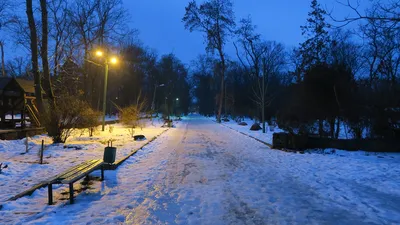 Зима в городе: в Таганрог вернётся снег