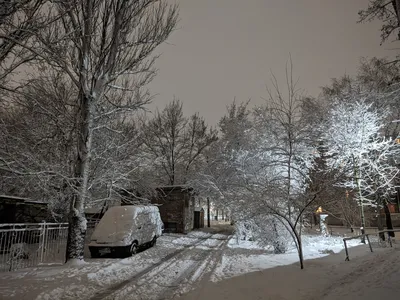 Зима, Таганрог, парк, странный тип с фотоаппаратом...