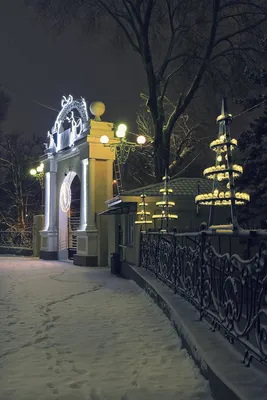 Погода в Таганроге 22 января: небольшой мороз и солнце | 22.01.2024 |  Таганрог - БезФормата