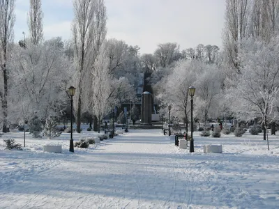 Таганрог зимой фото фотографии