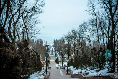 В Таганроге прошла акция «Покормите птиц зимой!» | 21.01.2024 | Таганрог -  БезФормата