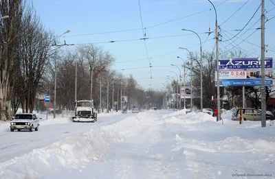 Богудония в городе \"Таганрог\"