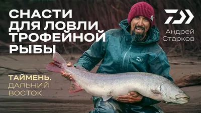 Рыбалка на Тайменя | Якутия | Все об отдыхе, рыбалке и охоте | Блог