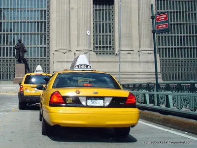Желтоглазое такси: любимый транспорт Нью-Йорка