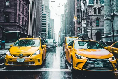 Как получить TLC в Нью-Йорке? Всё, что вам нужно знать о лицензии таксиста