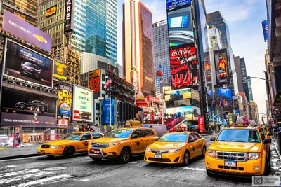 Таксист отвез банкиров из Нью-Йорка в Вегас за $5000 - Delfi RU