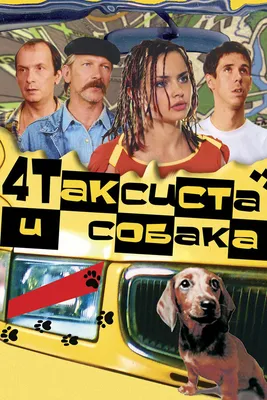Такси щенок - Tallinn - Животные, Собаки купить и продать – okidoki