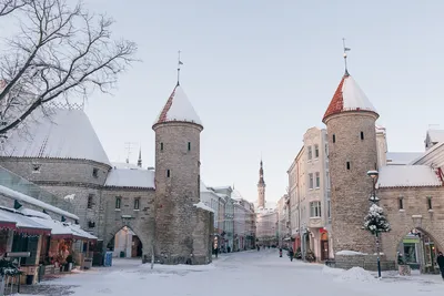 Таллин фото зимой