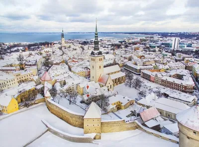 Таллин фото зимой фотографии