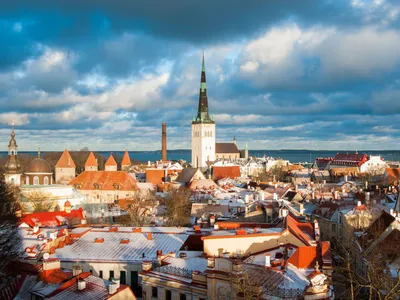 Прогулка по зимнему Старому Таллинну - Nordic Experience