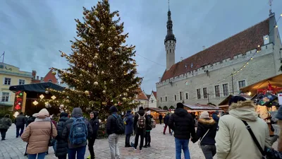 Эстония автостопом: в Таллин зимой — WhatUSee.ru — Пишем о жизни и  путешествиях