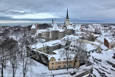 Зимний Таллин. Часть 1. Виды