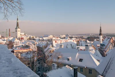 Зимний Таллин глазами туриста из России (фото) | STENA.ee